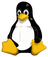 Linux Kernels